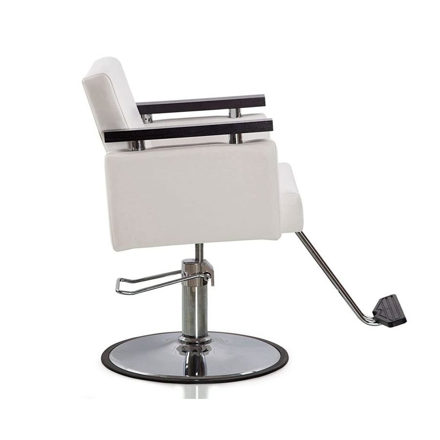 Professonal Hydraulic Styling Beauty Salon Chair